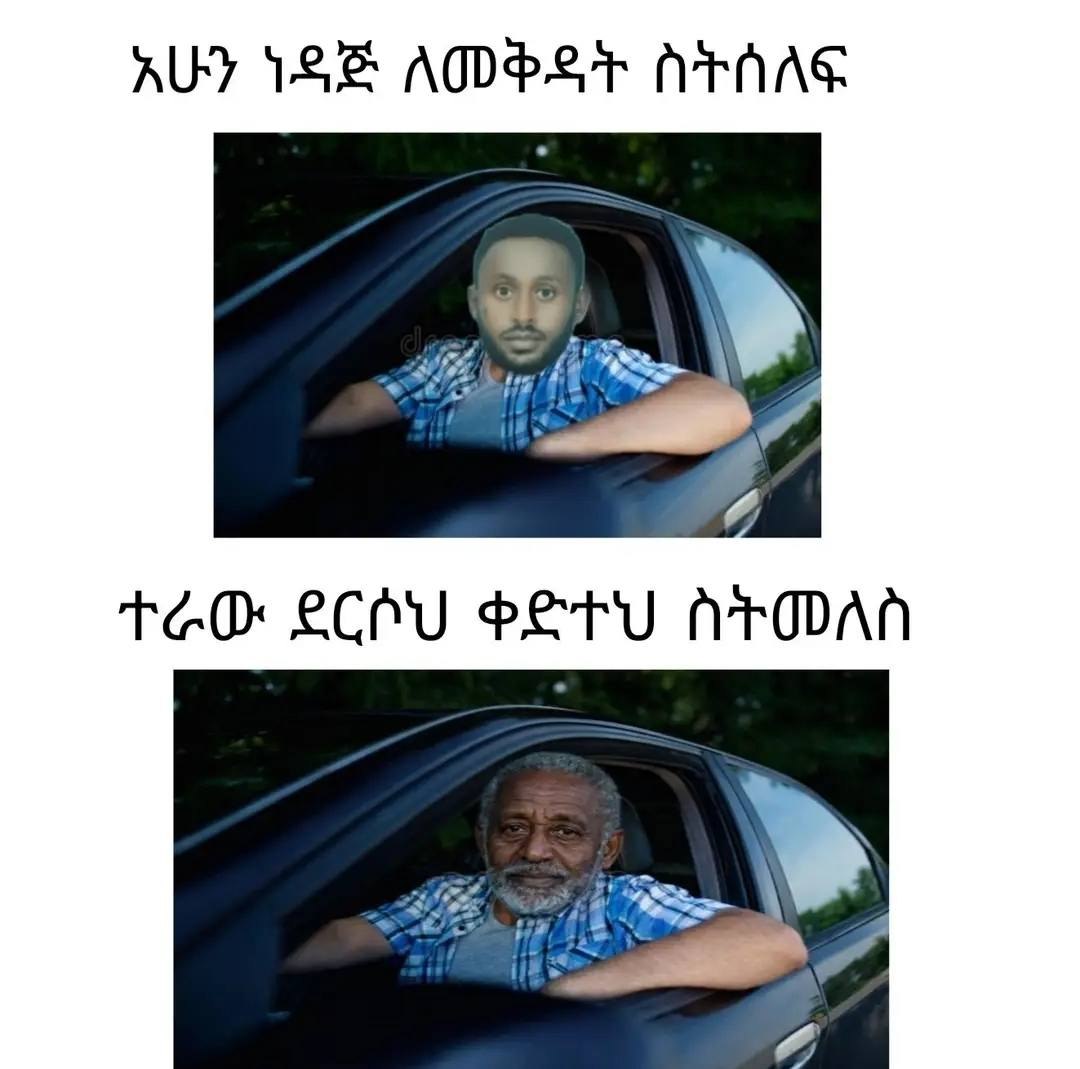 ተራው “1 ፌት TeO cat ght